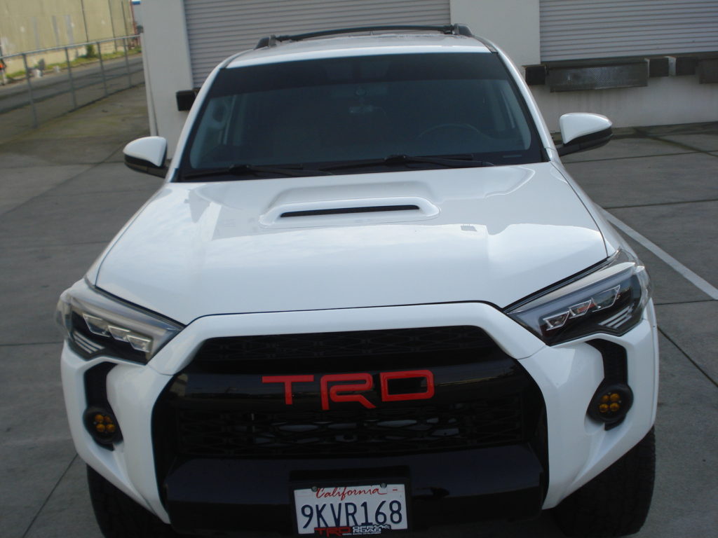 428624485_896215725838204_5833872067254408056_n