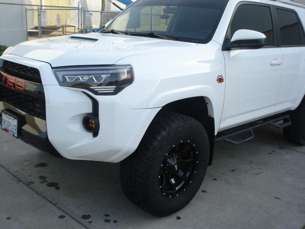 428643077_896215242504919_7945348604517903428_n